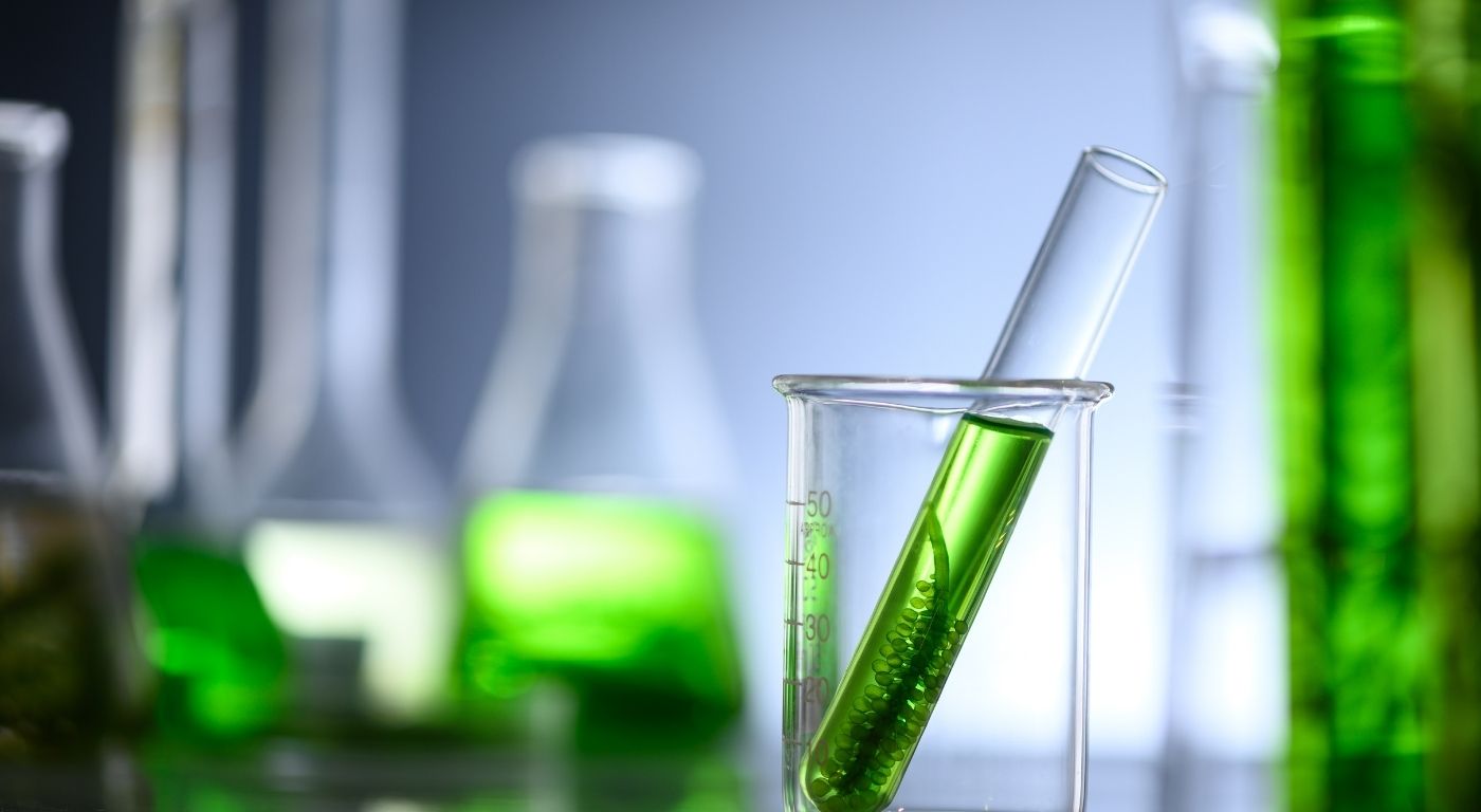 Probiotic Testing