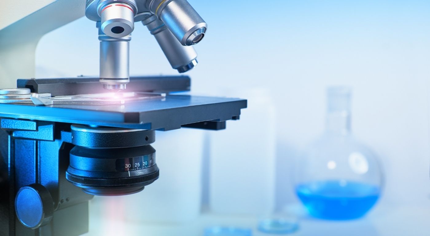 In Vitro Digestibility Studies
