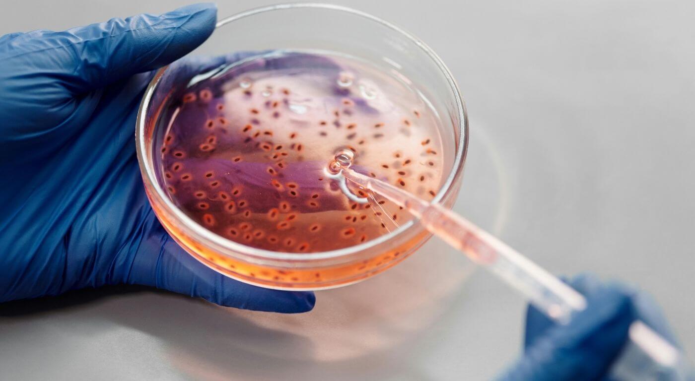 Bioengineered Product Testing & Development