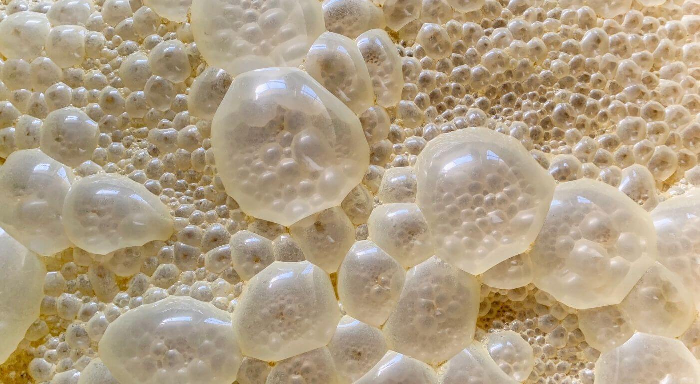 Microbial Fermentation & Strain Development